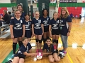 Jess_EaglesV-Ball_Fall-2017-Champs (7)